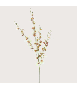 Oncidium Orchid Branch Cream H93