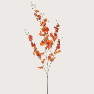 Oncidium Orchid Branch Orange H93