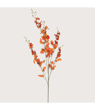 Oncidium Orchid Branch Orange H93