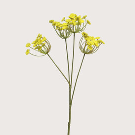 Anethum Branch Yellow H68