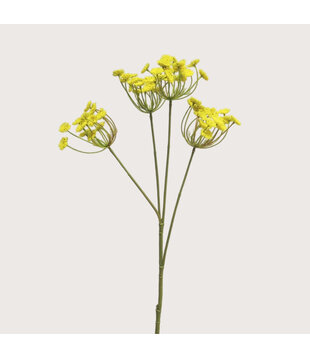 Anethum Branch Yellow H68
