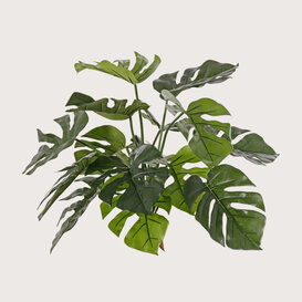Monstera Plug D55 H45 UV + FR (UV-resistant + Fire-retardant)