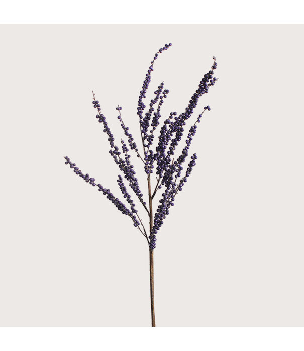 Bessen Tak Paars H145