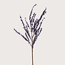 Berry Branch Purple H145