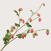 Aardbeien Fruit Tak Roze H110