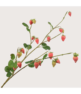 Aardbeien Fruit Tak Roze H110