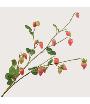 Aardbeien Fruit Tak Roze H110