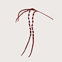 Amaranthus Bordeaux H110