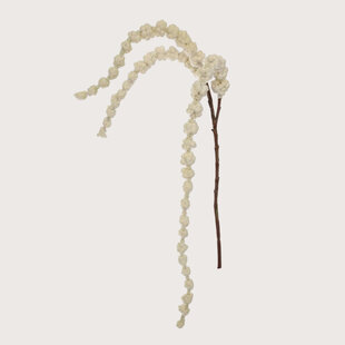Amaranthus Branch Cream H100
