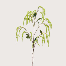 Amaranthus Branch Green H100