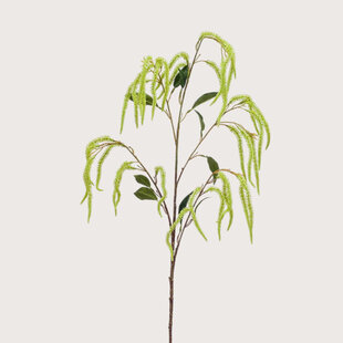 Amaranthus Branch Green H100