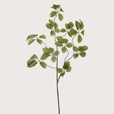 Appel Branch Green H120