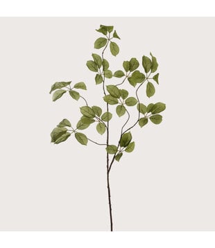 Appel Tak Groen H120