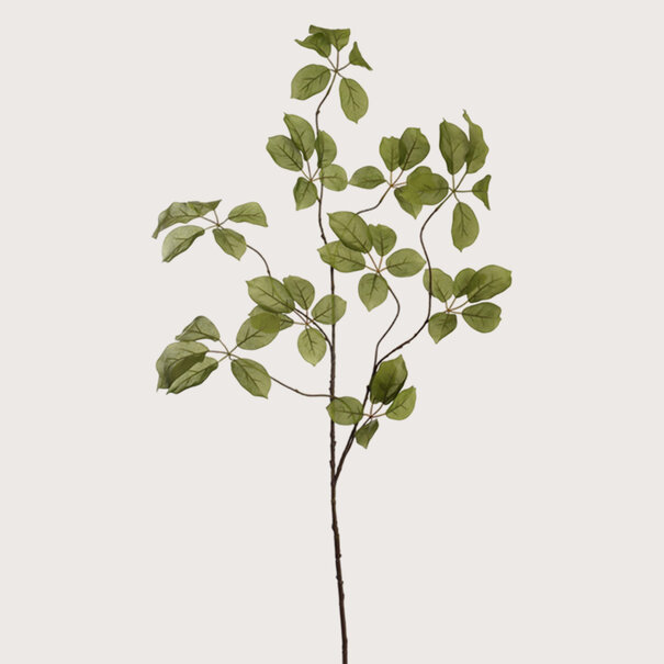 Appel Tak Groen H120