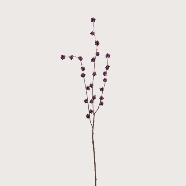 Berry Branch Lavender H91