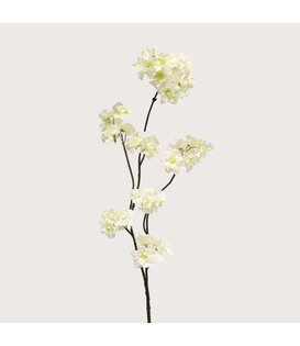 Blossom Branch Malaga White H84