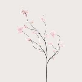 Bloesem Tak Roze H126