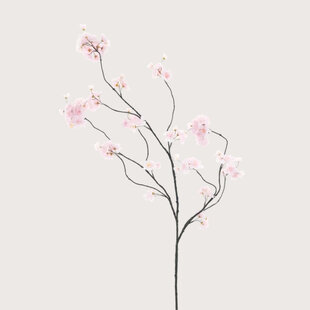 Bloesem Tak Roze H126