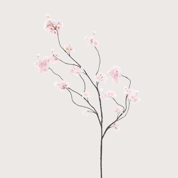 Blossom Branch Pink H126