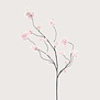Bloesem Tak Roze H126