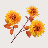 Chrysant Tak Geel H74