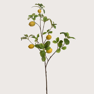 Lemon Branch Yellow H104cm