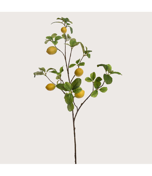 Lemon Branch Yellow H104cm