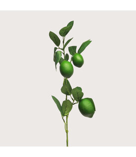 Lemon Branch Green H74