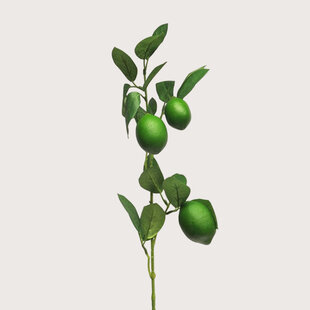 Lemon Branch Green H74