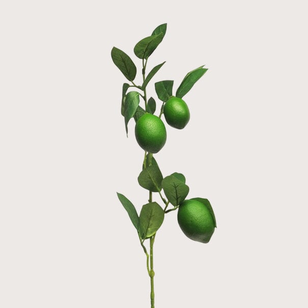 Lemon Branch Green H74