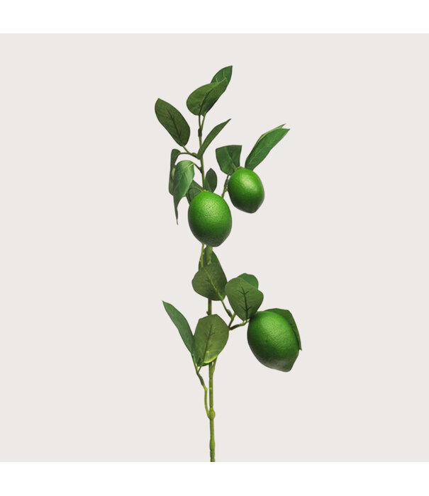 Lemon Branch Green H74