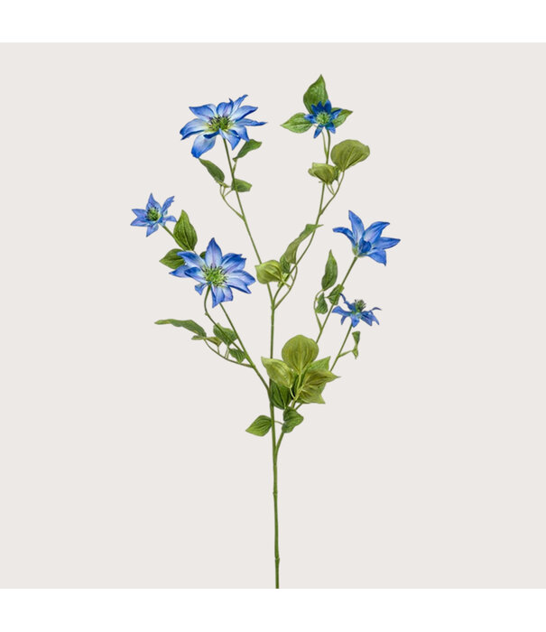 Clematis Branch Blue H110