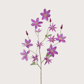 Clematis Branch Purple H125