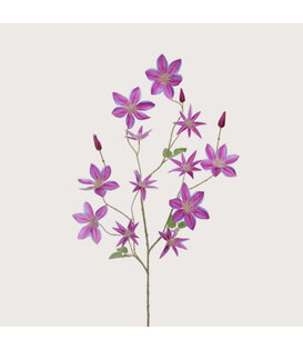 Clematis Branch Purple H125