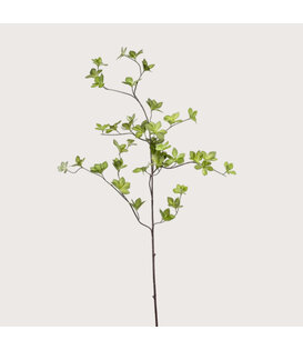 Cornus Leaf Branch Green H115