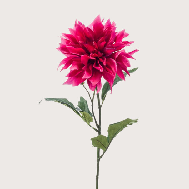 Dahlia Branch Fuchsia H60