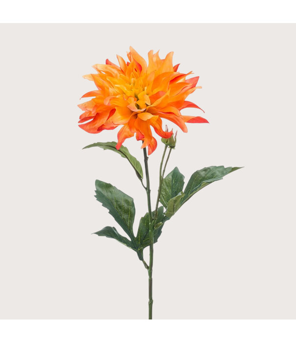 Dahlia Branch Orange H60