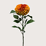 Dahlia Tak Oranje H74