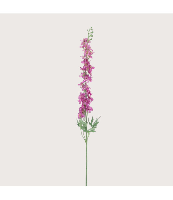 Delphinium Akana Pink H125