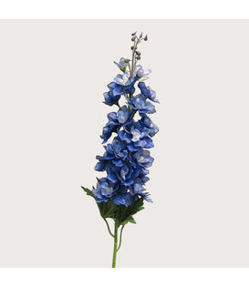Delphinium Diva Blauw H90