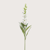 Digitalis Tak Crème H92