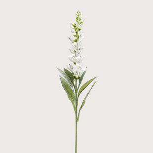 Digitalis Branch Cream H92