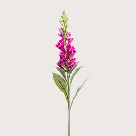 Digitalis Branch Fuchsia H92