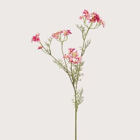 Dill Fuchsia H85