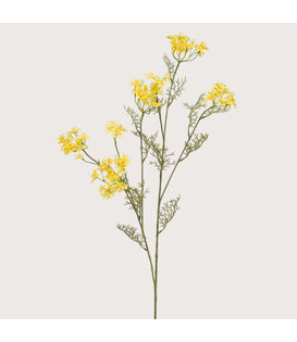 Dill Branch Yellow H120