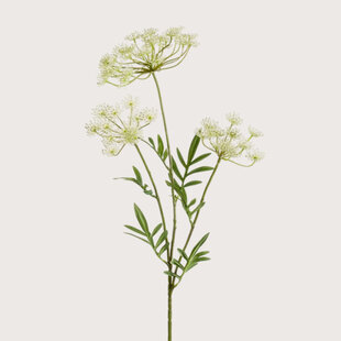 Dill Branch White H80