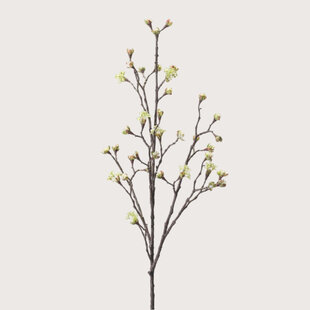 Maple Branch Cream H110