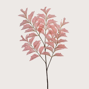 Fishtail Branch Salmon Pink H150