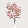 Fishtail Branch Salmon Pink H150