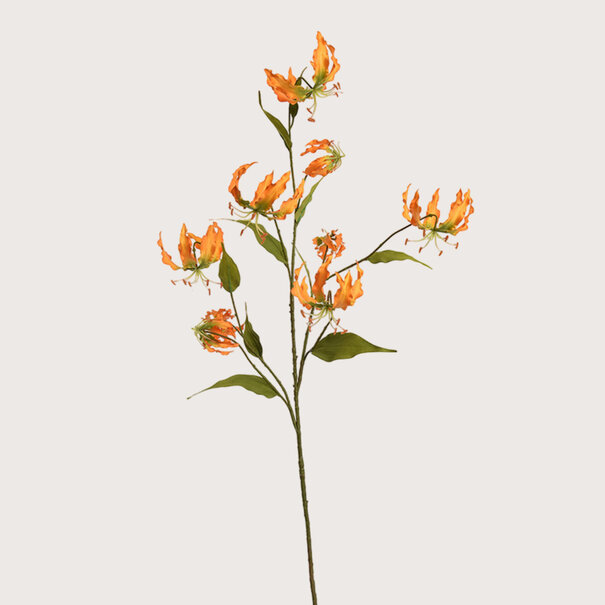Gloriosa Branch Orange H125